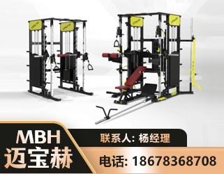 荆门多功能综合训练器