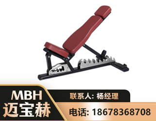 荆门可调哑铃椅